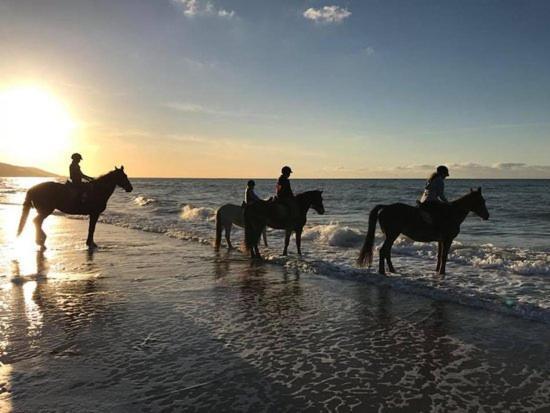 Les Pieds Dans L'Eau - Acces Direct A La Plage Bernières-sur-Mer Exterior foto