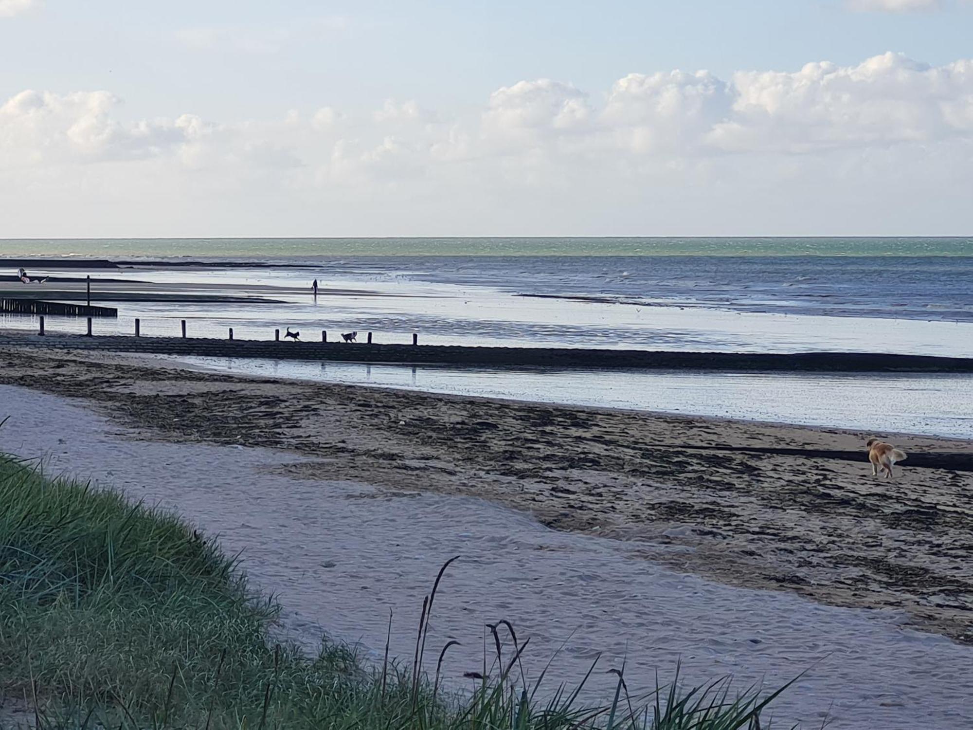 Les Pieds Dans L'Eau - Acces Direct A La Plage Bernières-sur-Mer Exterior foto